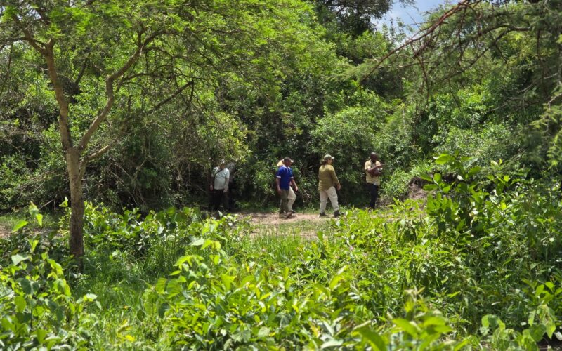 7-Day Burundi Exploration Safari