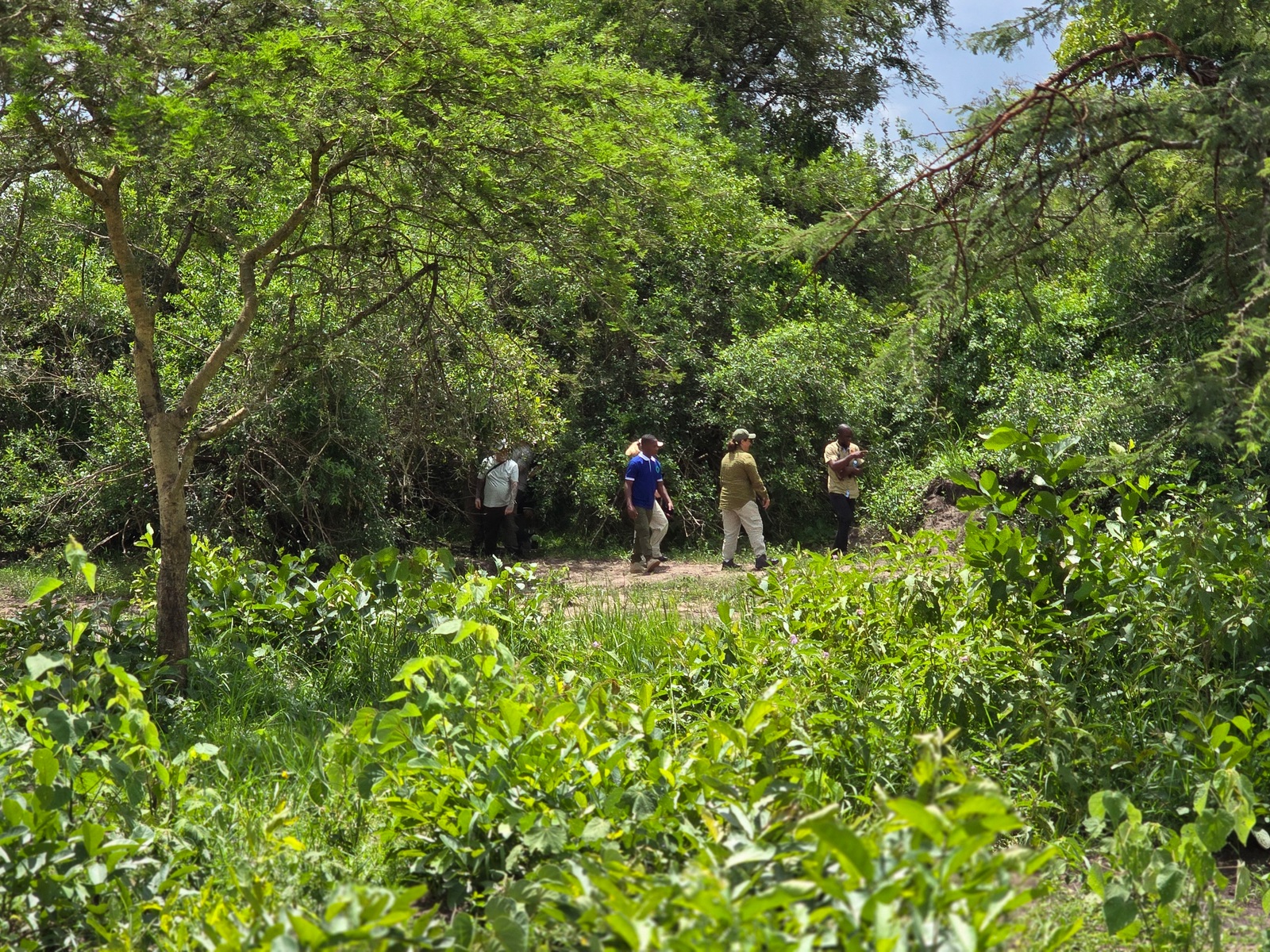 7-Day Burundi Exploration Safari