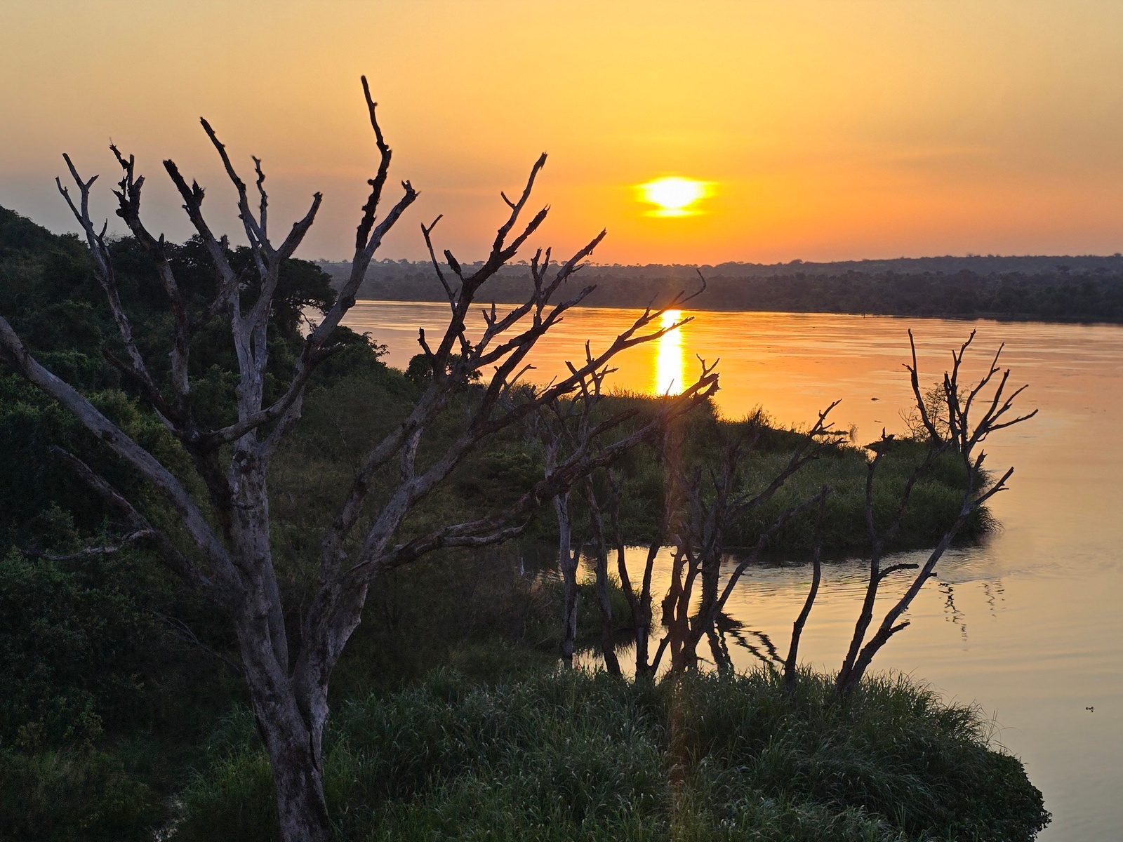 Envubu African Safaris