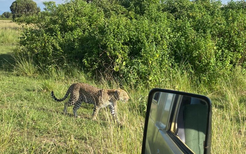 15-Day Uganda Game Drives Safari