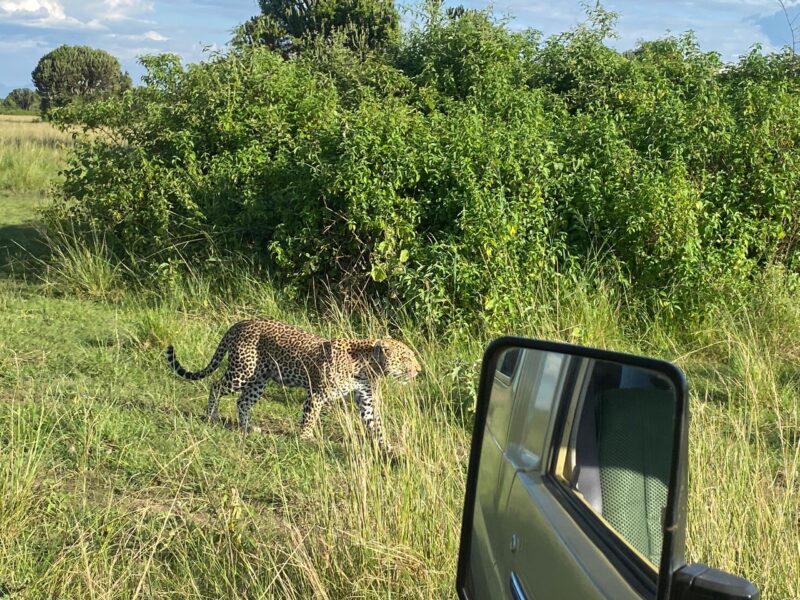 15-Day Uganda Game Drives Safari