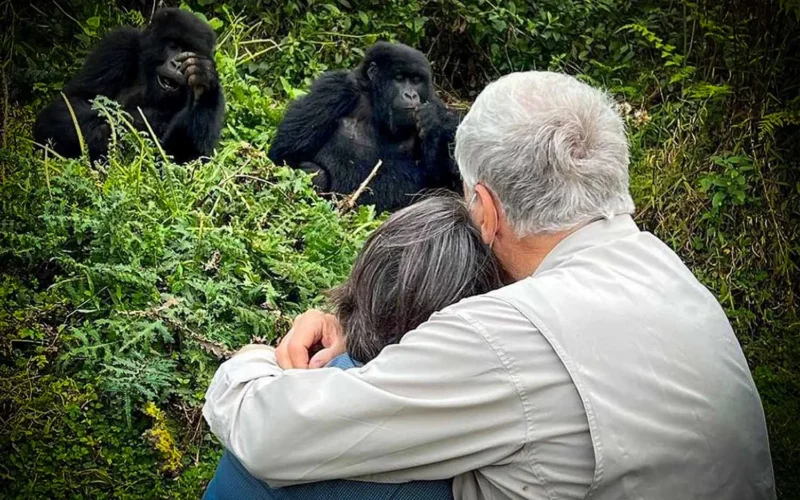 5-Day Rwanda Gorilla Trekking & Lake Kivu Tour
