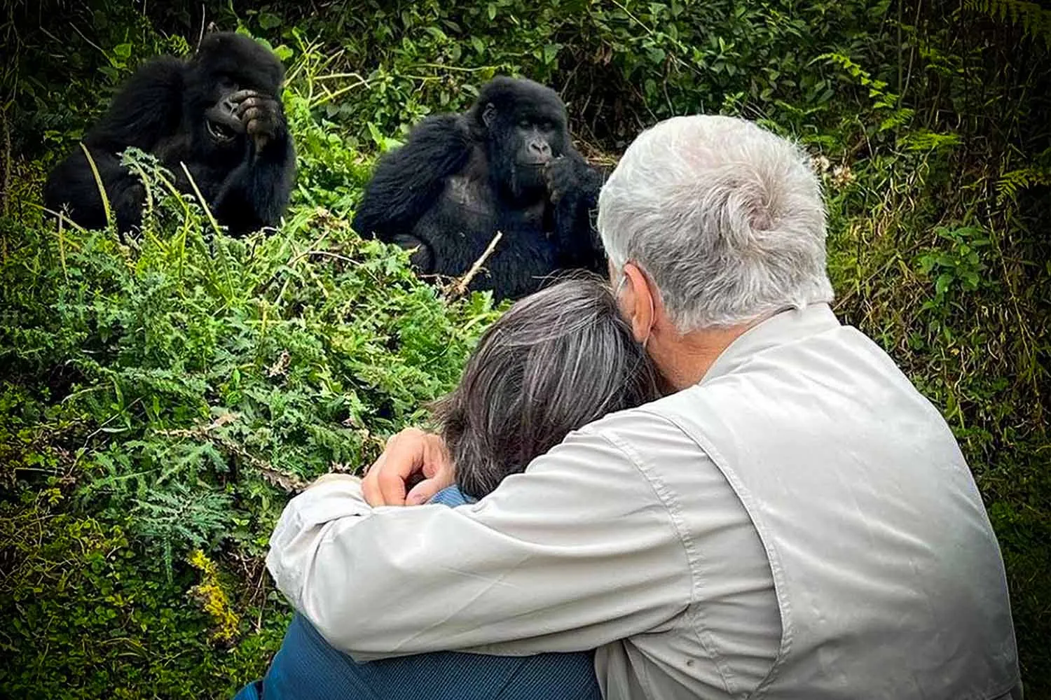 5-Day Rwanda Gorilla Trekking & Lake Kivu Tour