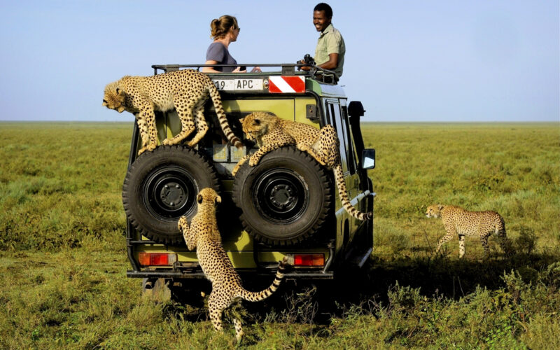 9-day-tanzania-adventure-safari