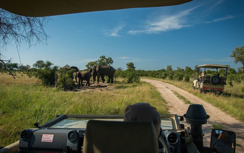 Africa Safari Packages