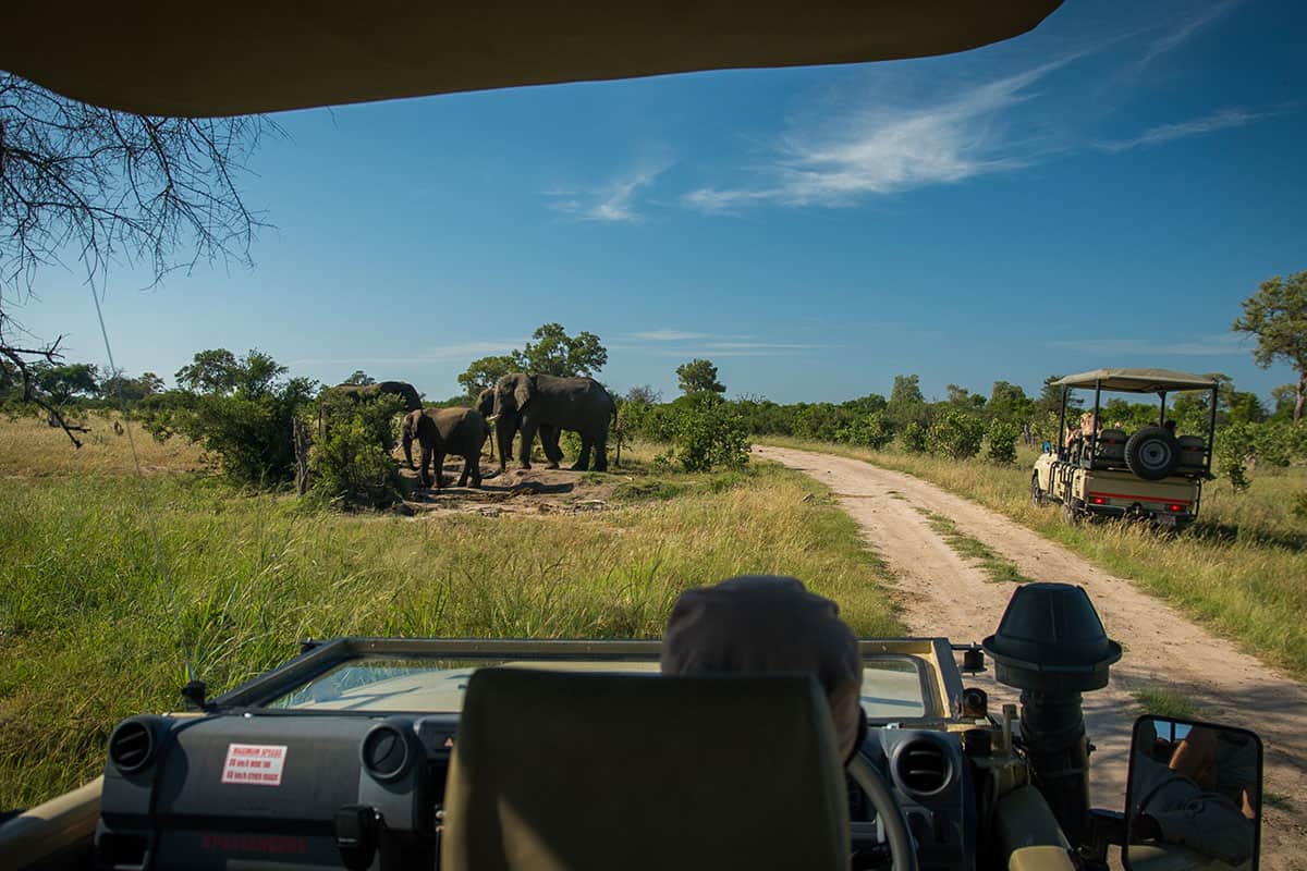 8 Days Amazing Uganda Safari Tour