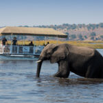 Africa Safari Destinations