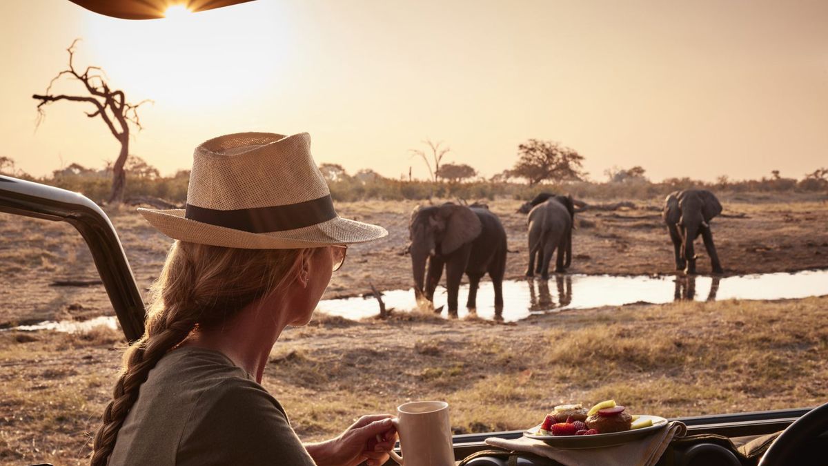 Africa Safari