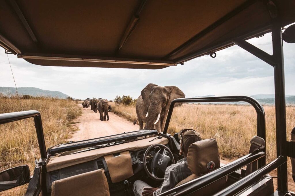 9-Day Kenya Wildlife Road Safari