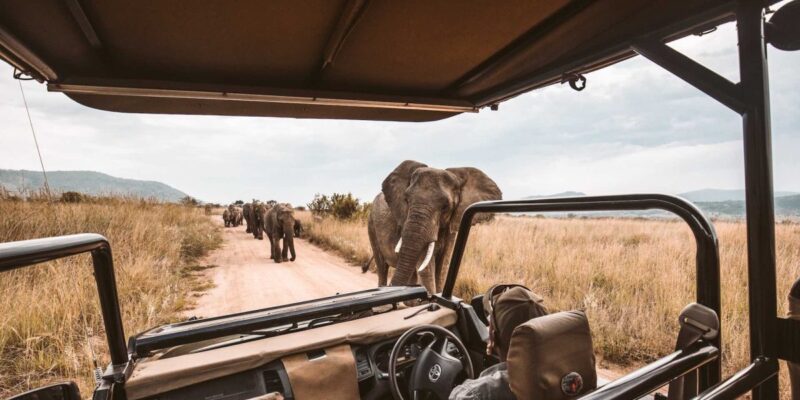 9-Day Kenya Wildlife Road Safari 9-Day Kenya Wildlife Road Safari