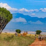 Kidepo Valley National Park