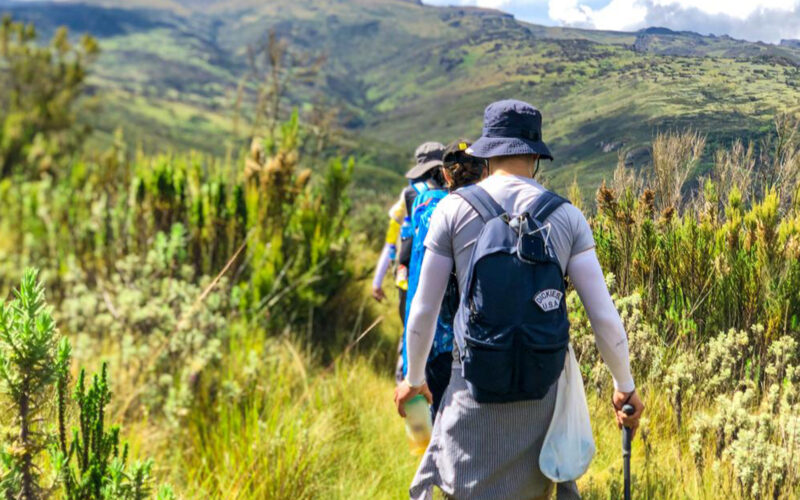 Mount Elgon National Park