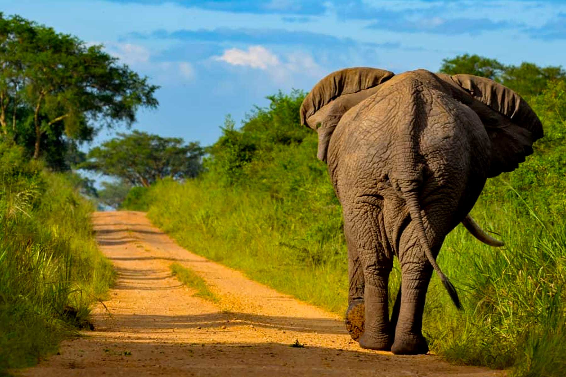 Queen Elizabeth National Park