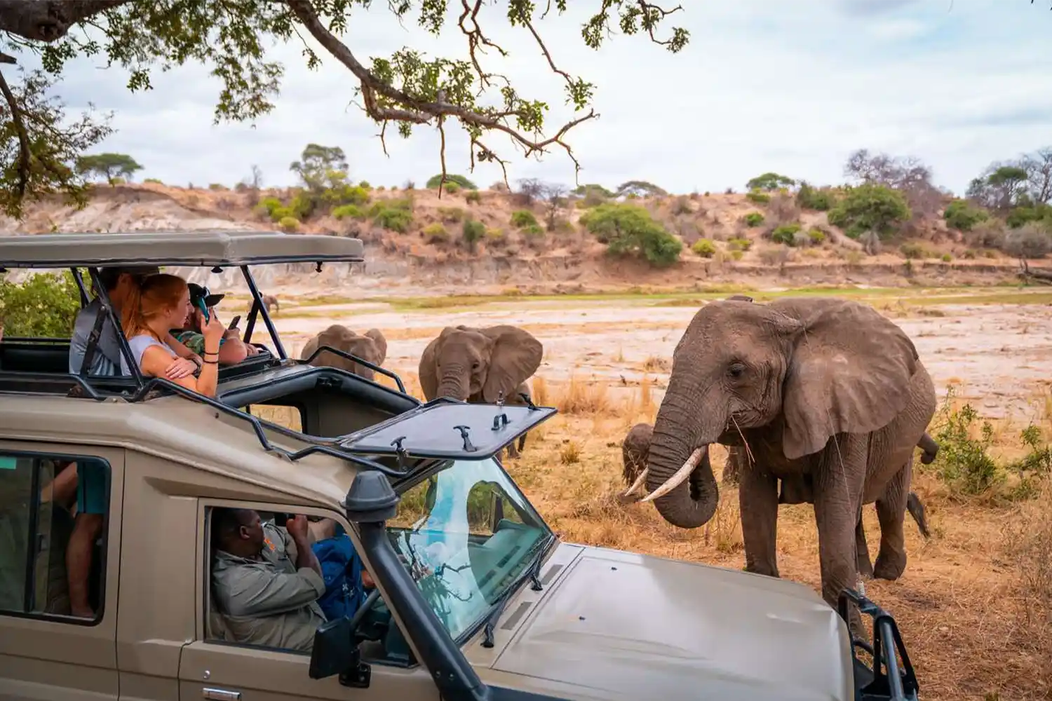 Tanzania Safaris
