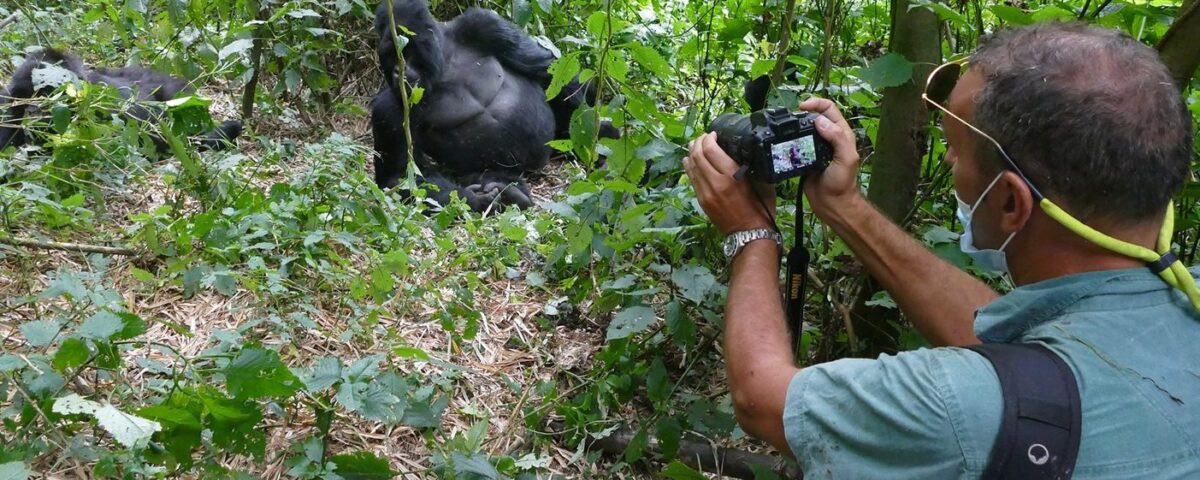 Uganda Gorilla Trekking
