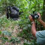 Uganda Gorilla Trekking