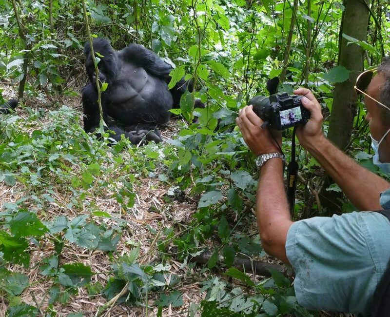 Uganda Gorilla Trekking