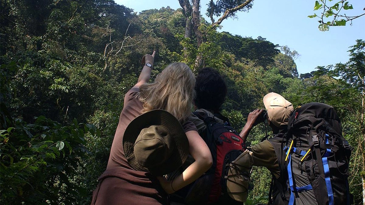 Uganda Gorilla Trekking Adventure