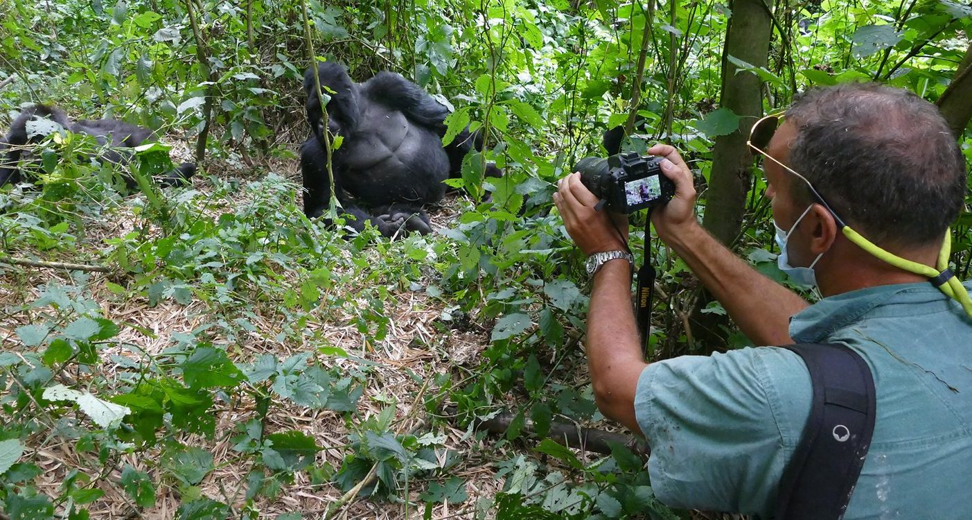 Uganda Gorilla Trekking