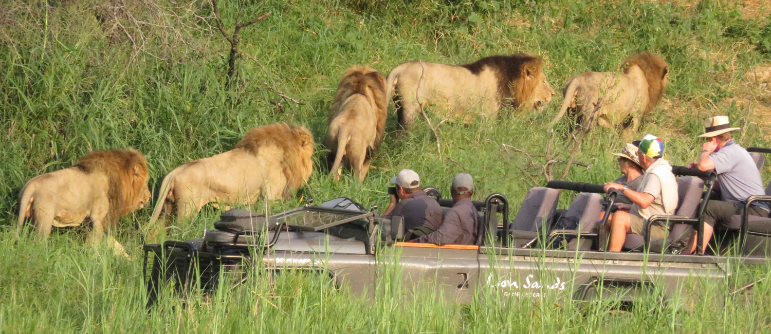 Burundi Wildlife Safaris