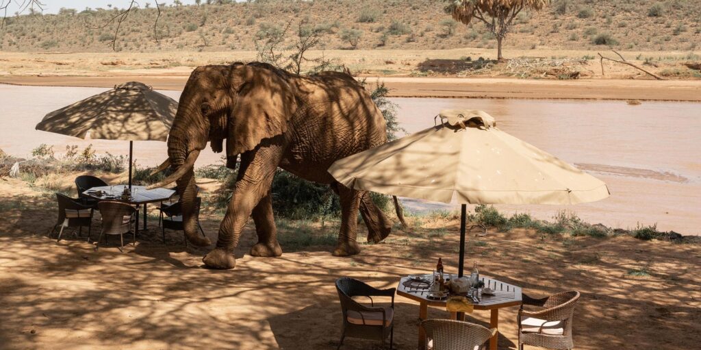 Kenya Adventure Safari