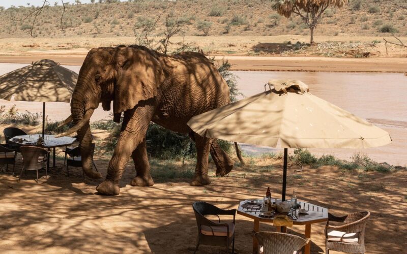 Kenya Adventure Safari