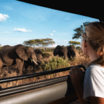 Tanzania Safaris
