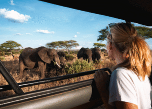 Tanzania Safaris