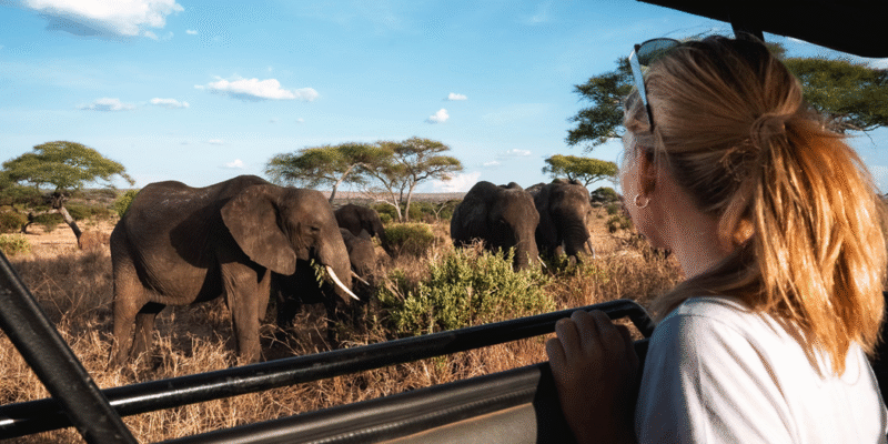 Tanzania Safaris Tanzania Safaris