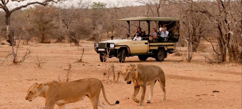 8-Day Tanzania Northern Circuit Safari
