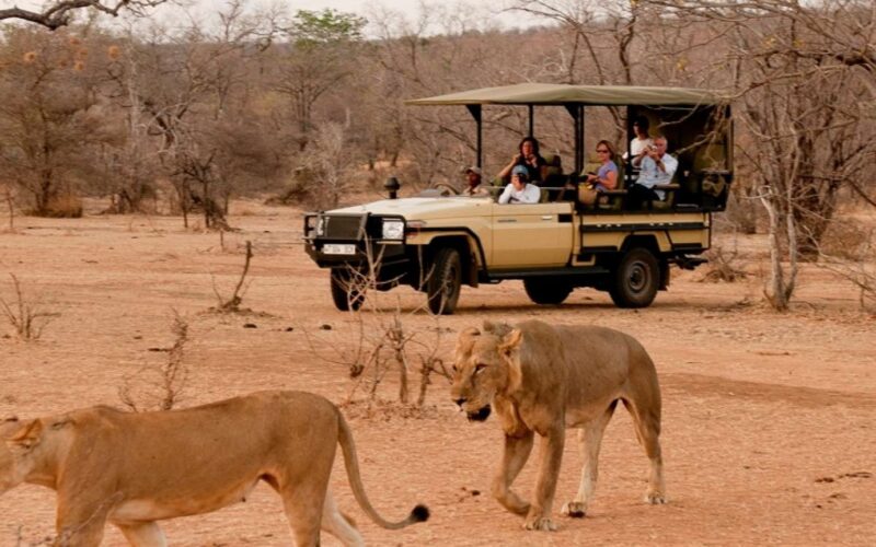 8-Day Tanzania Northern Circuit Safari