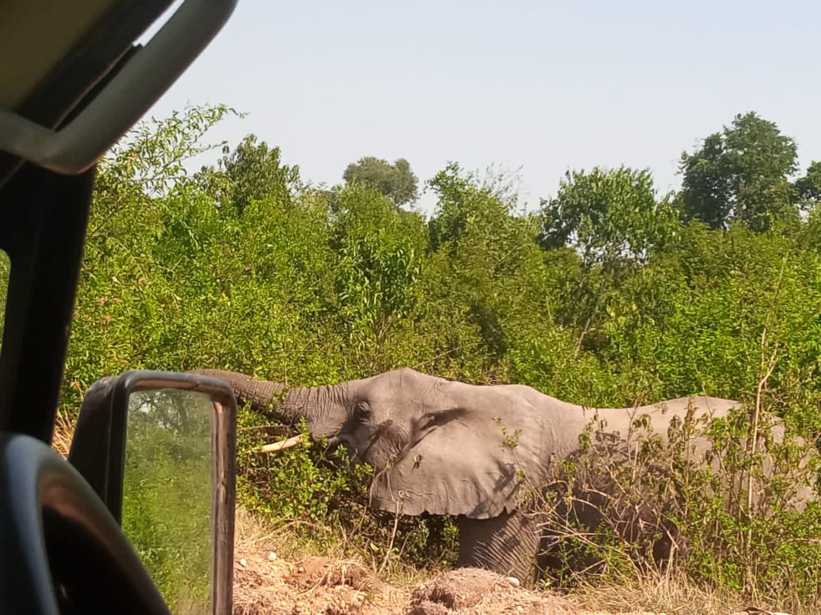 Africa Safari Destinations Are Unforgettable