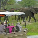 Africa Senior Safaris