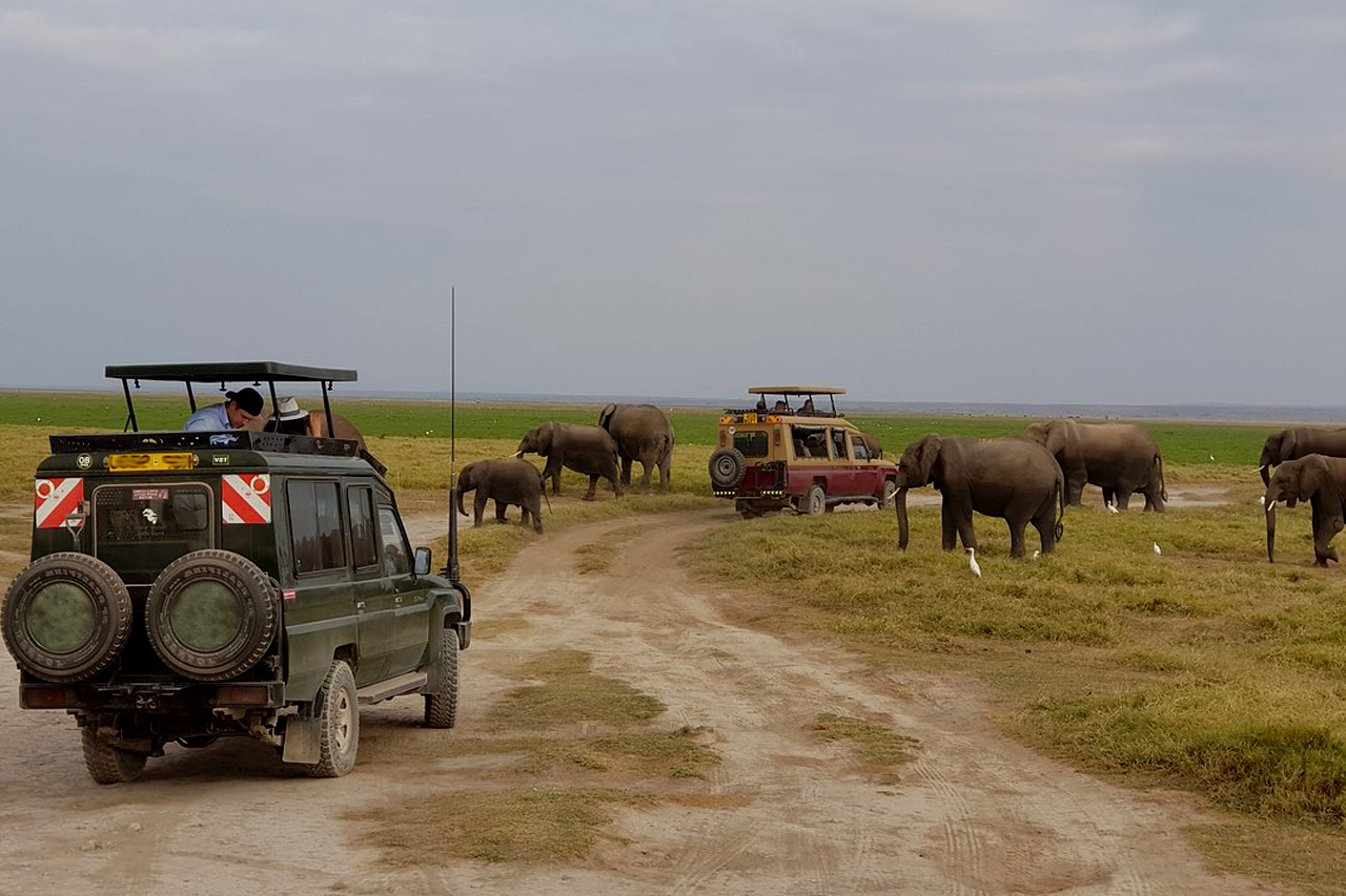 Amboseli National Park Game Drive