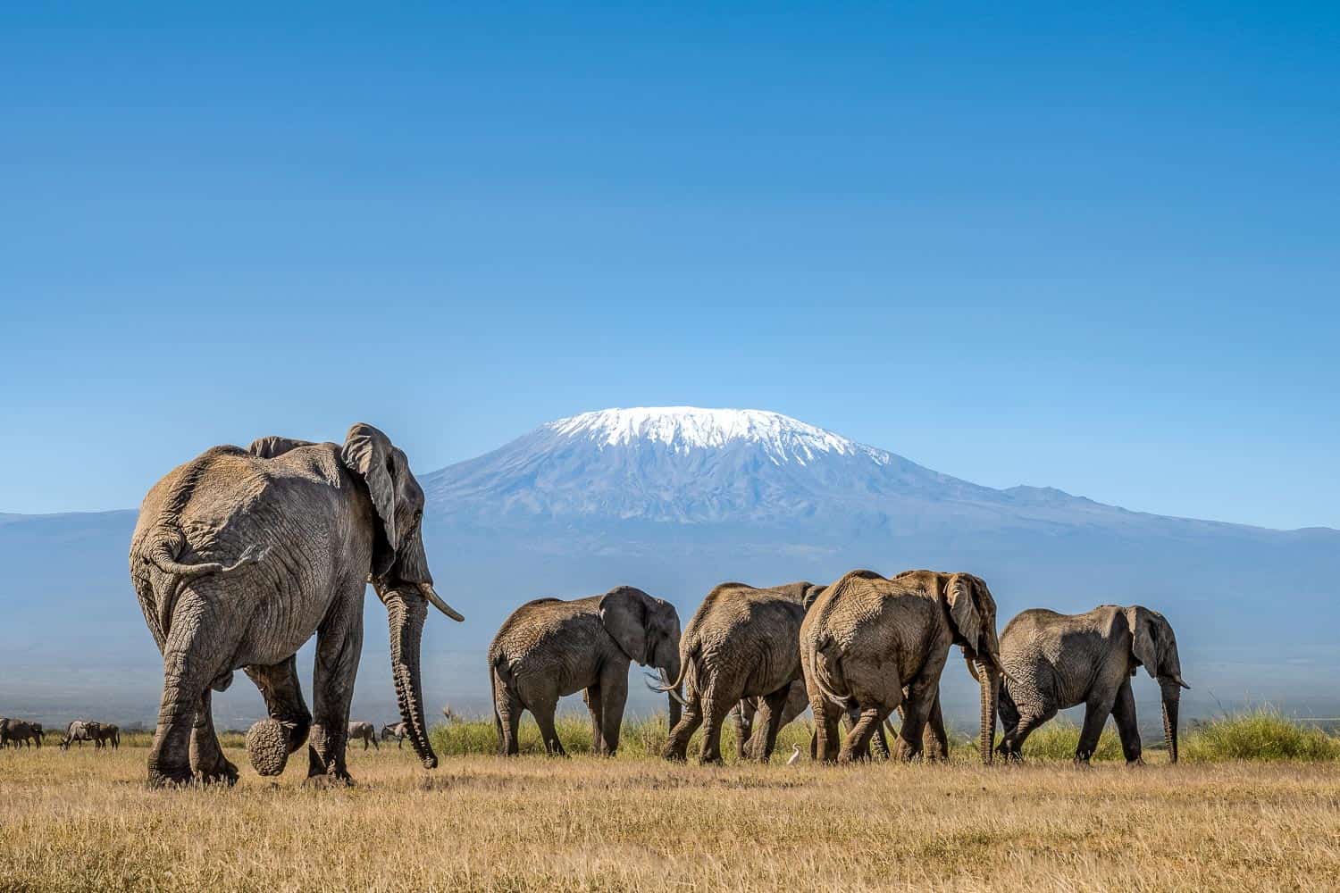 Angama Amboseli