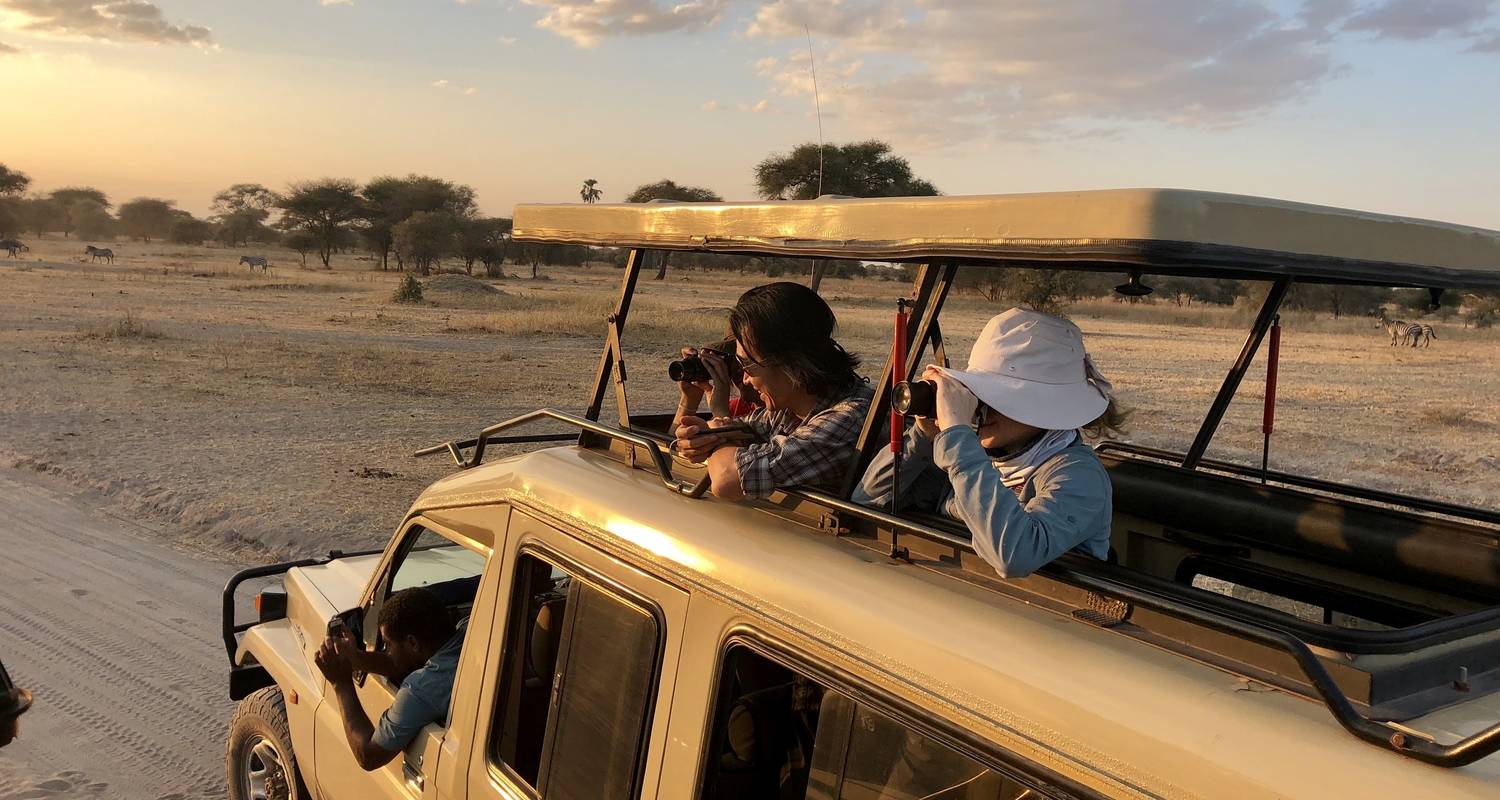 Best African Safari Trips Rwanda Kenya and Tanzania