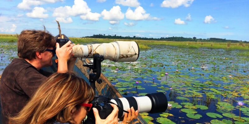 Birding Safari in Africa Birding Safari in Africa