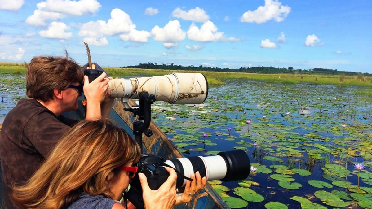 Birding Safari in Africa