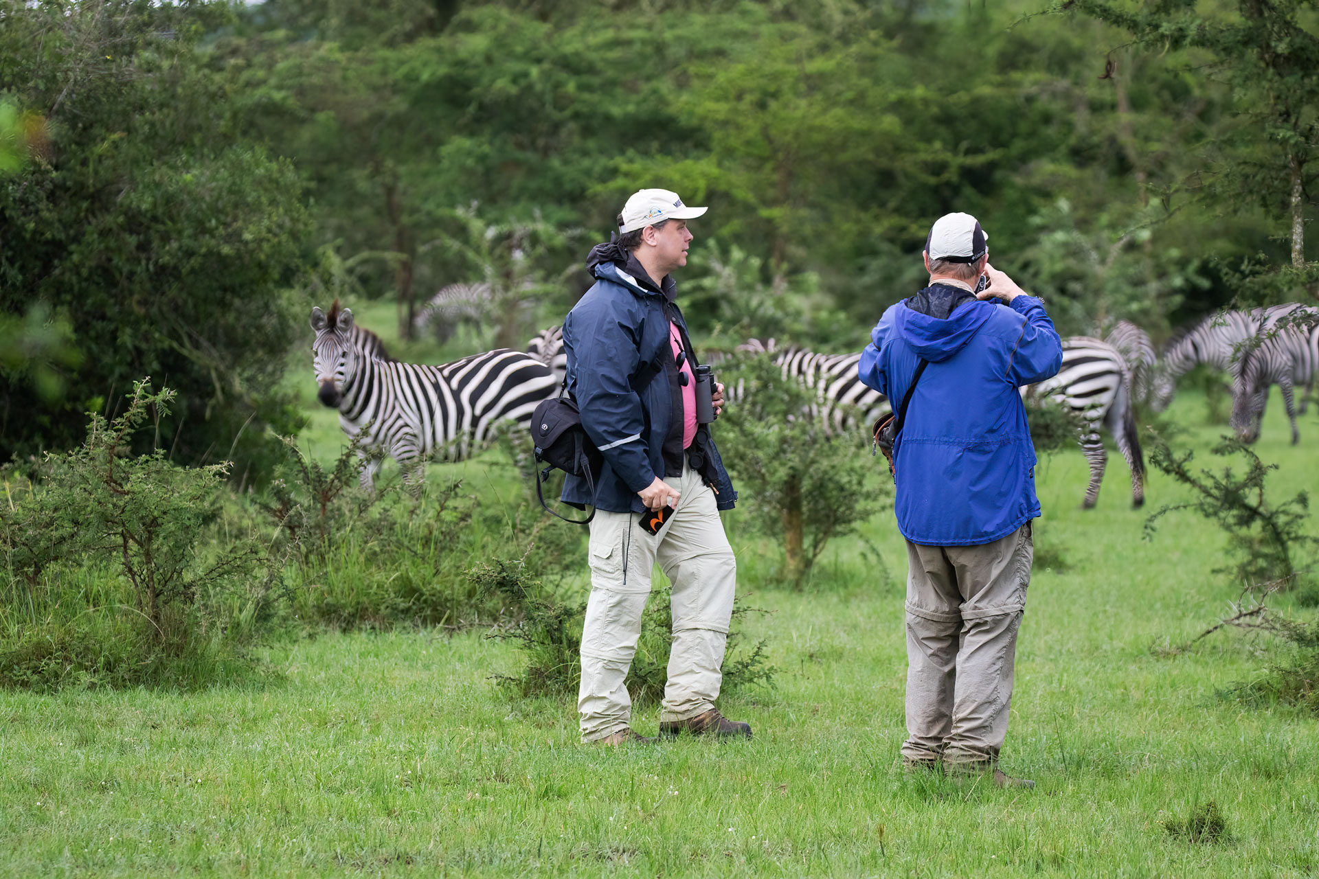 Birding in Uganda
