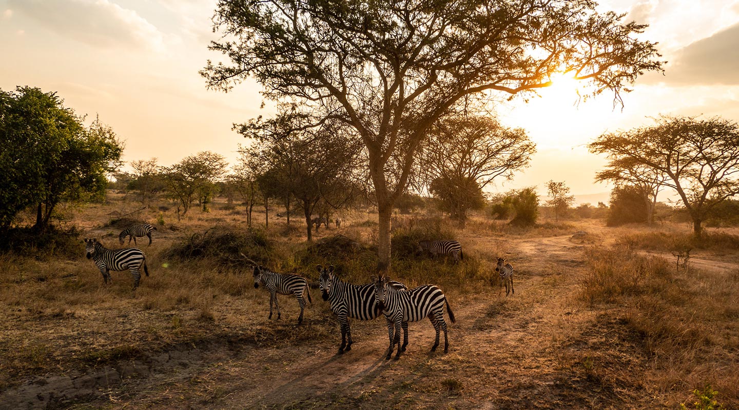 Burundi Safaris