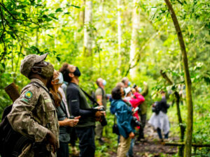 Uganda Experiential Safaris