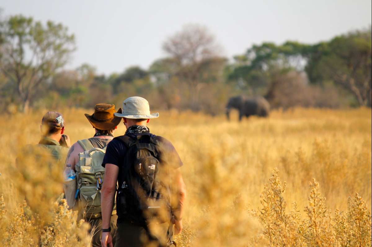 East Africa Safari Experiences