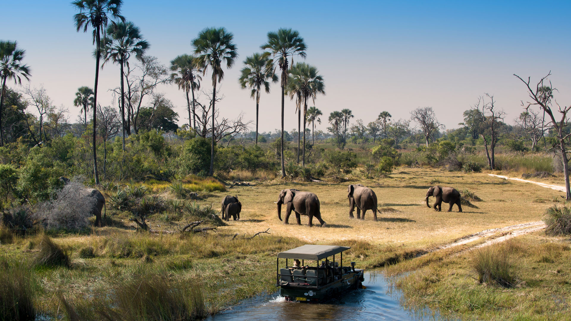 Game Drive