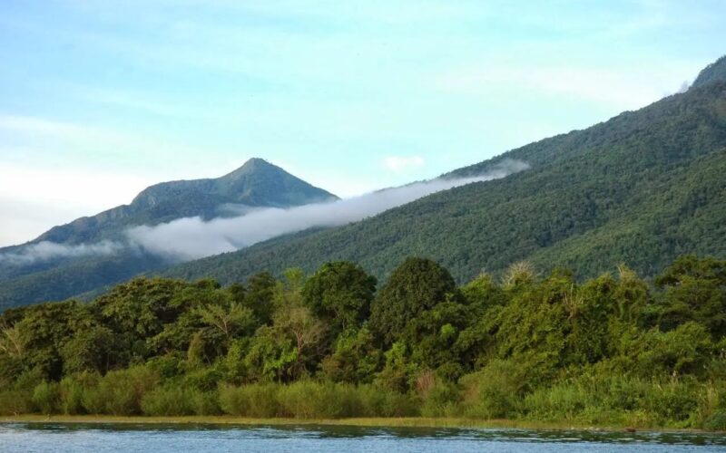 Gombe Stream National Park 