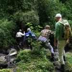 Gorilla Trekking Experience