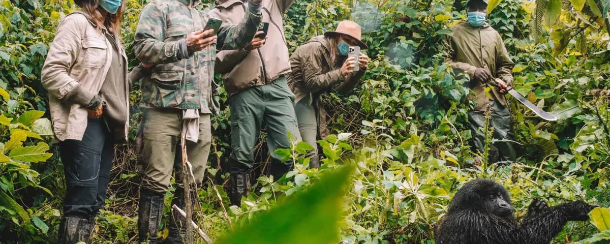 Gorilla Trekking Safari