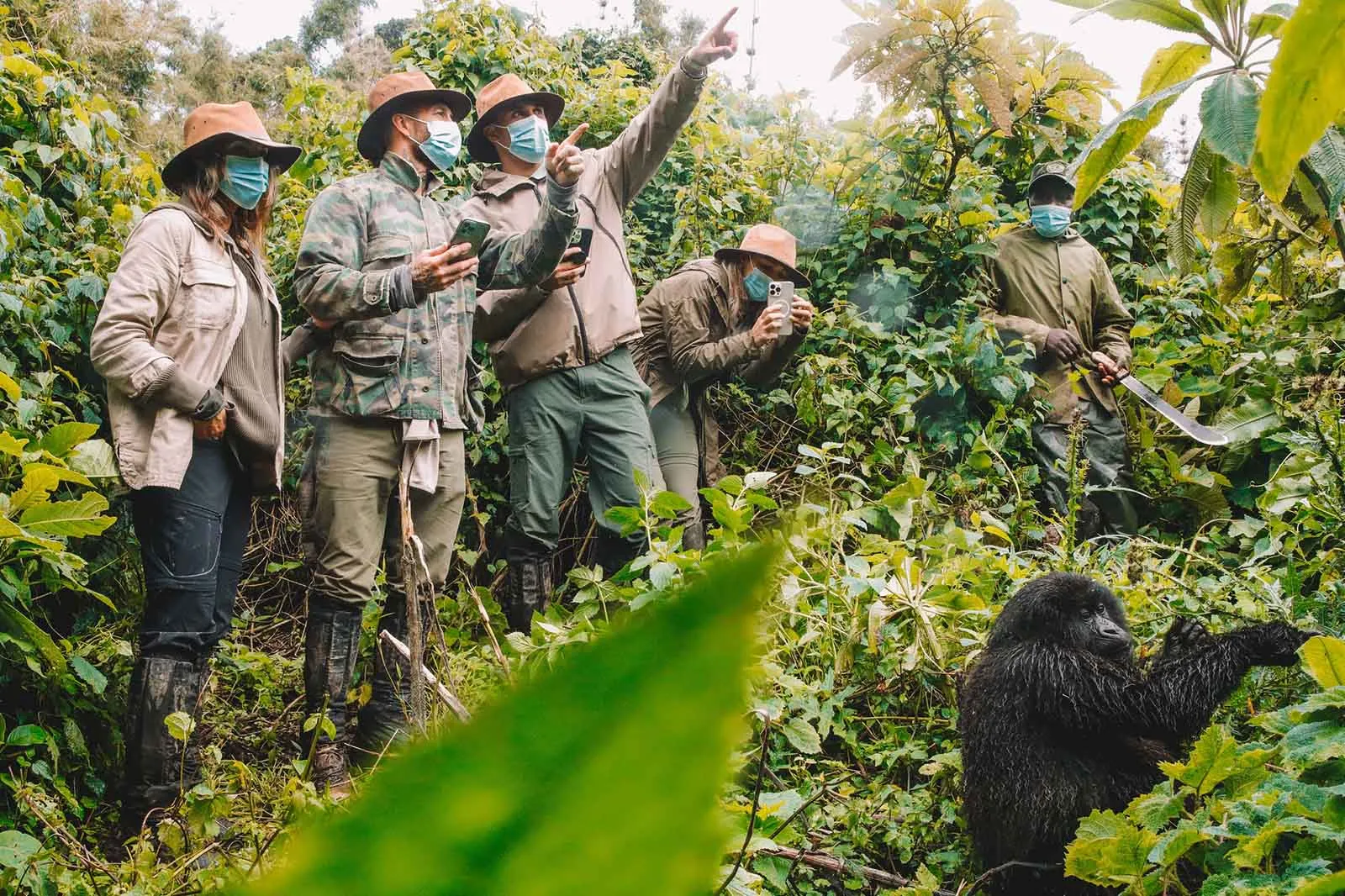 Gorilla Trekking Safari