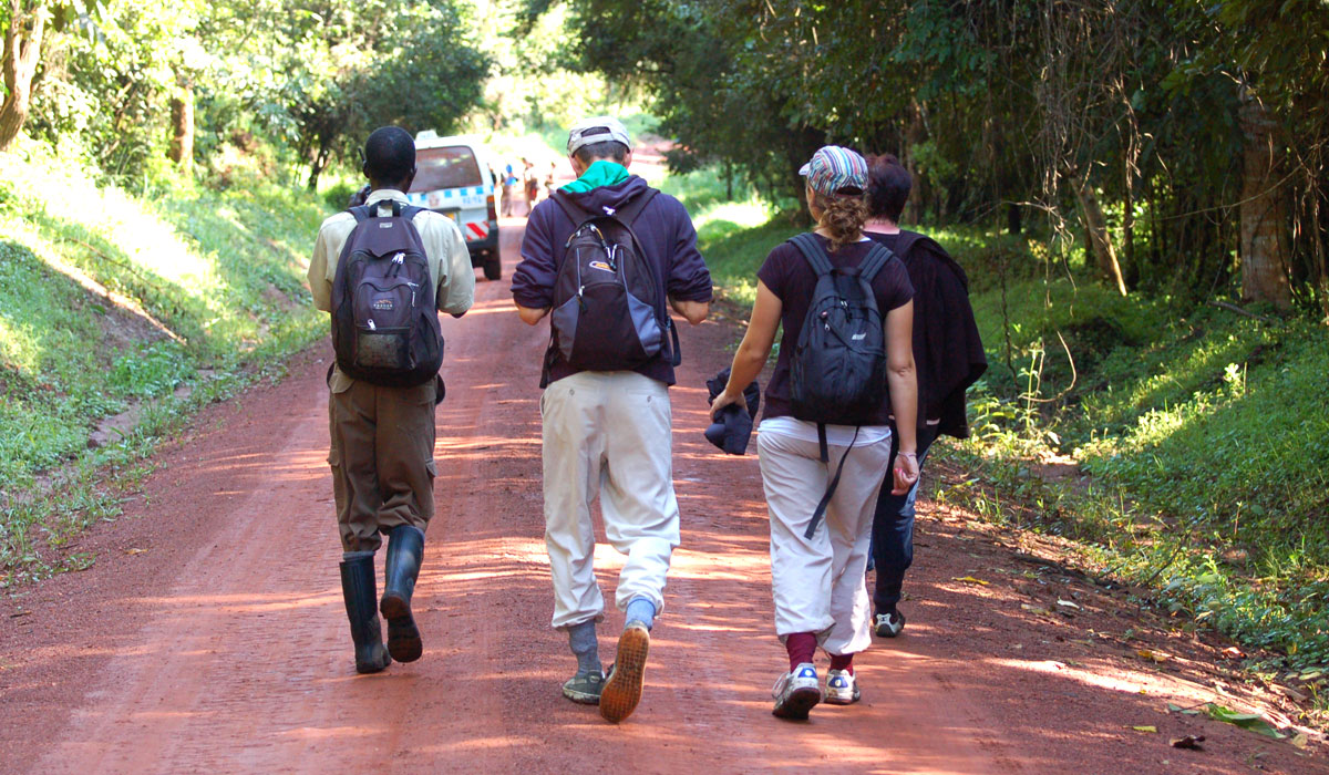 Hiking Safari