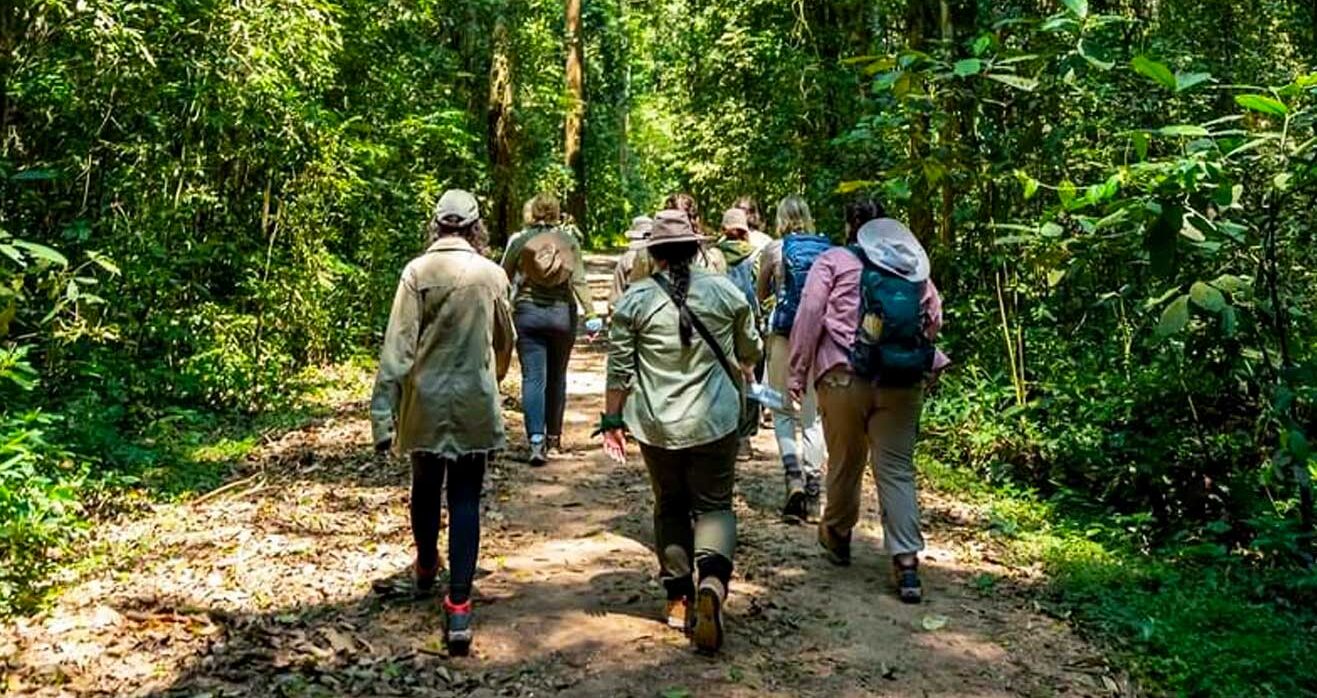 Kabale Chimpanzee Tracking Safari