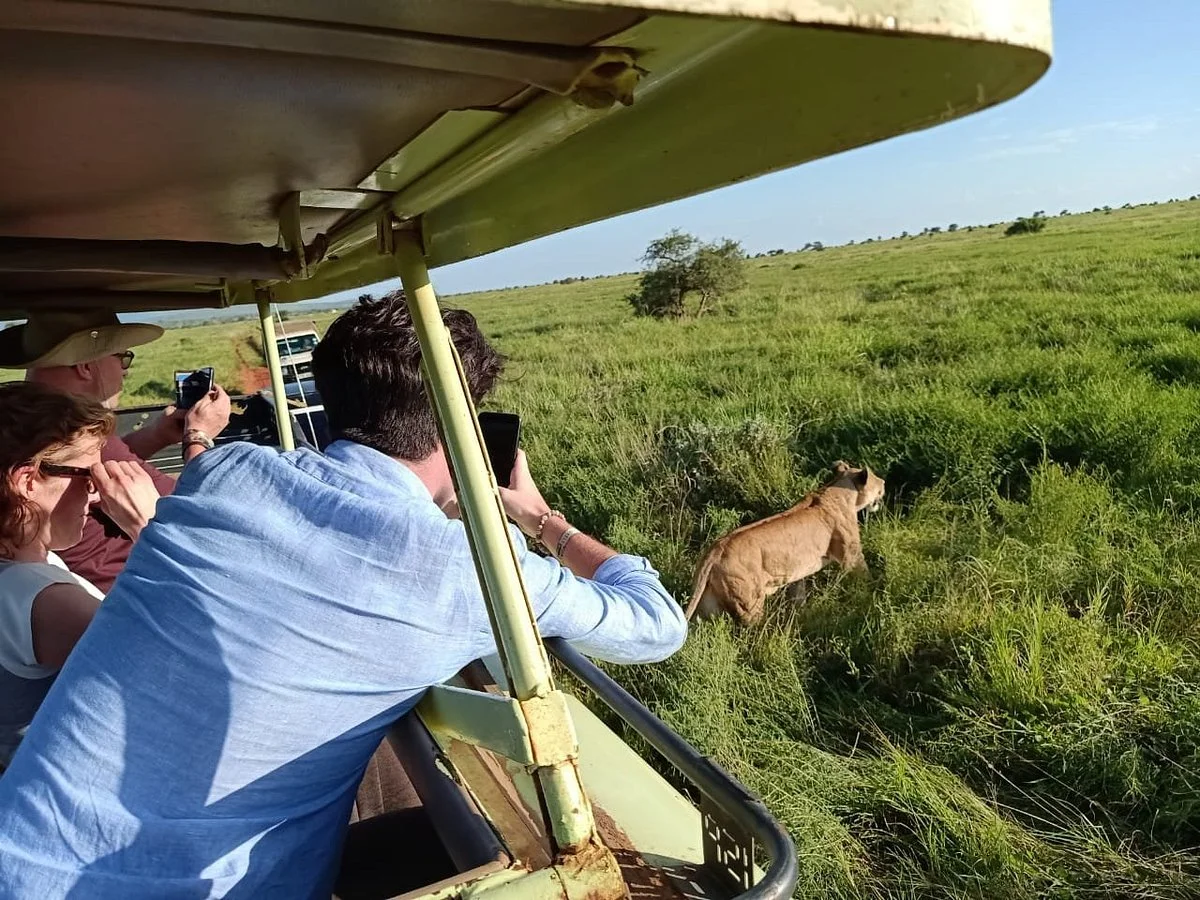 Kenya Safaris